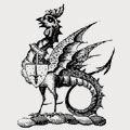 Nugent Family Crest and Coat of Arms : MyFamilySilver.com